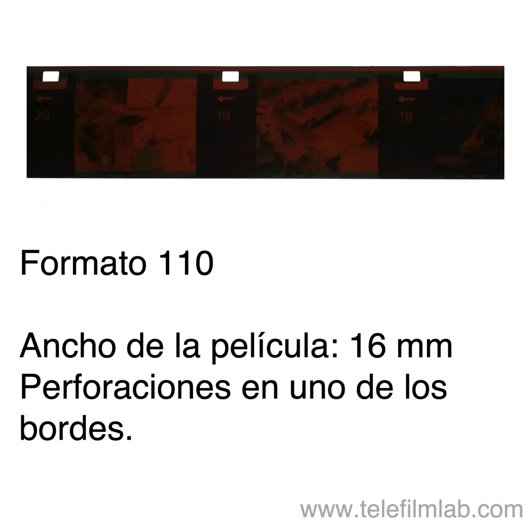Formato 110