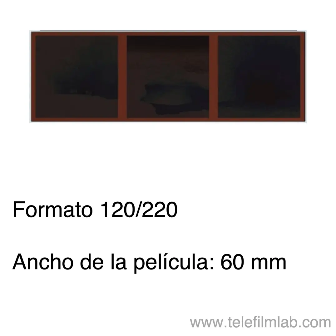 Formato 120 o 220