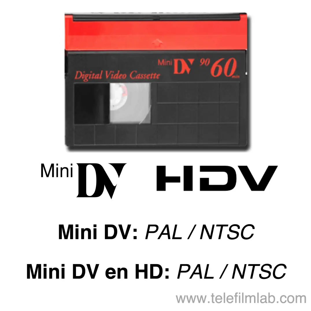 MiniDV