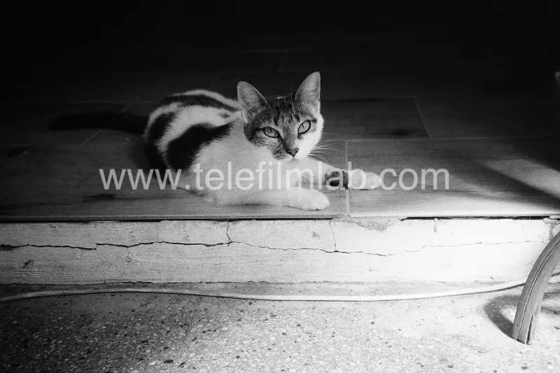 Película Agfa APX 400.